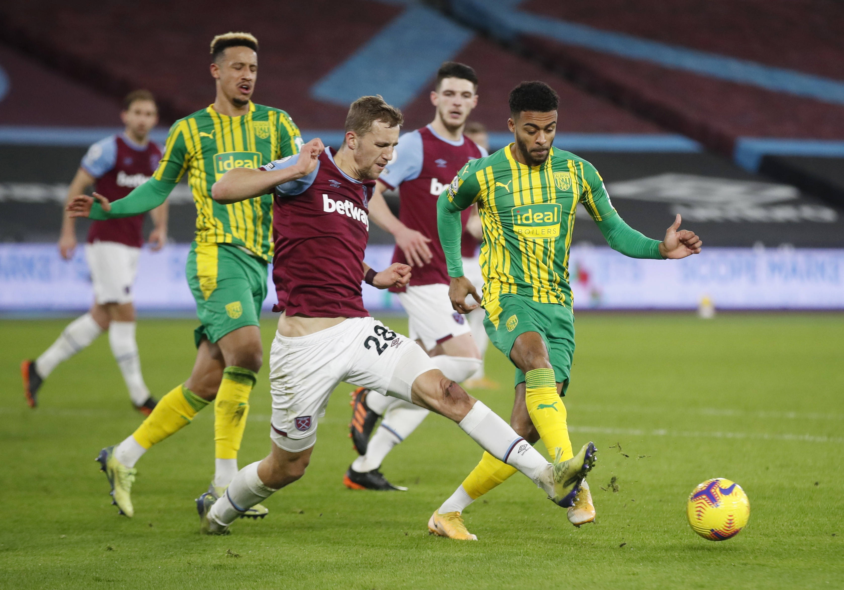 森林狼不仅 森林狼不仅